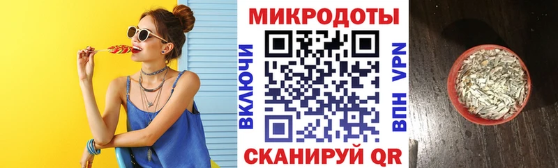 Псилоцибиновые грибы Psilocybe Купить Кочубеевское